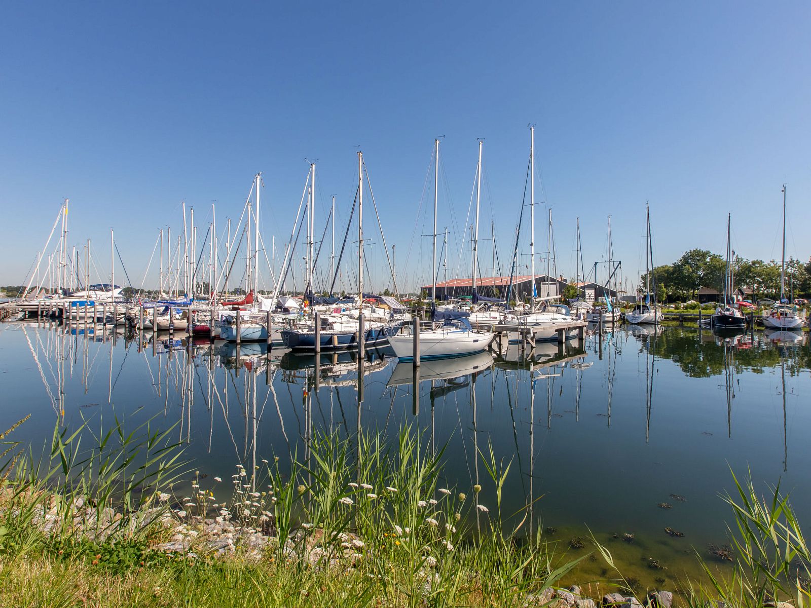 Haven met zeilboten nabij Vakantiehuis Haus Anni, Hansweert, Zuid-Beveland, ideaal voor watersportliefhebbers.