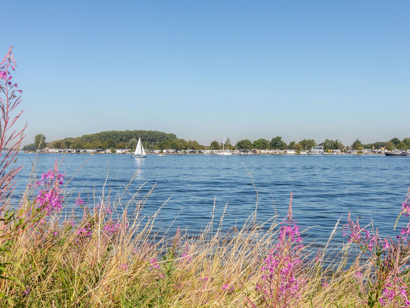 Schitterend uitzicht op het water nabij Vakantiehuis Haus Anni, Hansweert, Zuid-Beveland, met bloemen en natuur.