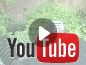 Video verblijf 631601 • Vakantiewoning Zeeuws-Vlaanderen • de Kersentuin 