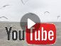 Video verblijf 031574 • Chalet Terschelling • Dunamar 