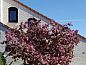 Guest house 01011056 • Holiday property Texel • Ferienperle  • 5 of 26