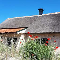 Unterkunft 01022547 - Ferienhaus Texel - Duinrand Vakantievilla's Type 2
