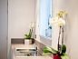 Guest house 0110903 • Holiday property West Flanders • Coq au lit: Maison de la lune  • 2 of 11