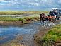 Guest house 0310124 • Holiday property Terschelling • Wadhuske  • 4 of 24