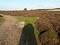 Unterkunft 031548 • Bungalow Terschelling • Glissando  • 14 von 14