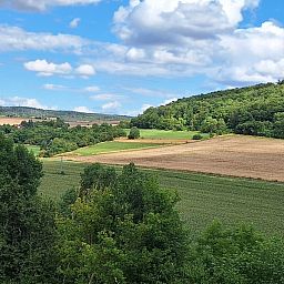 Geniet van het weidse uitzicht op de groene heuvels rond vakantiehuis Seega in Kyffhauserland, Thringen.