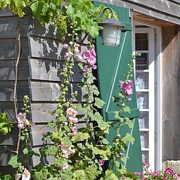 Verblijf 0412206 - Vakantiewoning Bretagne - Vakantiehuis in Plouhinec