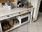 Verblijf 0498102 • Vakantiewoning Midi / Pyrenees • Vakantiehuis Neuf Chateau de Barbet  • 9 van 23