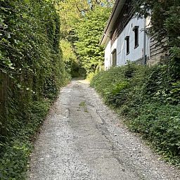 Guest house 0653901 - Holiday property Liege - L'Ecureuil Blanc