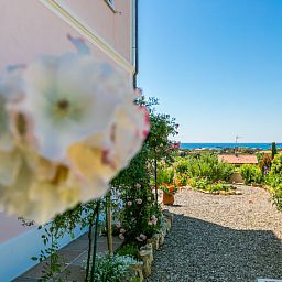 Unterkunft 09548301 - Ferienhaus Toskana / Elba - Vakantiehuis delle Rose
