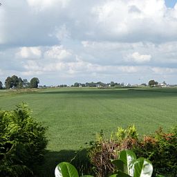 Beautiful landscape around Holiday cottage in Delfstrahuizen, located near Tjeukemeer in the Frisian Lakes.