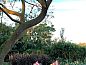 Unterkunft 10427202 • Appartement West-Kaap • Potteberg Guest Farm  • 12 von 26
