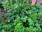 Unterkunft 10427202 • Appartement West-Kaap • Potteberg Guest Farm  • 14 von 26