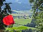 Verblijf 13111501 • Vakantiewoning Steiermark • Hochfelner - Stockerhof  • 9 van 26