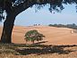 Guest house 1330101 • Holiday property Alentejo • verdemar  • 3 of 9