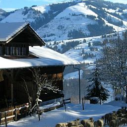 Unterkunft 1806301 - Appartement Berner Oberland - Appartement Auf der Mauer