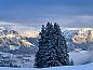 Unterkunft 1806402 • Ferienhaus Berner Oberland • Huisje in Boltigen  • 12 von 13