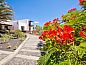 Verblijf 18714401 • Vakantiewoning Canarische Eilanden • Casa El Morro  • 11 van 26