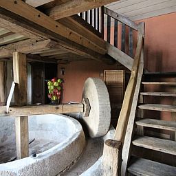 Guest house 19030303 - Holiday property Lower Normandy - Vakantiehuisje in Saint Aubin de Bonneval