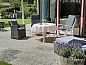 Verblijf 230415 • Vakantiewoning Friese bossen • Vakantiehuis  • 3 van 18