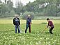 Verblijf 240122 • Bijzondere overnachtingen Het Friese platteland • Recreatiebedrijf de Blikvaart  • 14 van 26