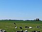 Verblijf 2620203 • Vakantiewoning Het Friese platteland • Vakantiehuisje in Jislum  • 9 van 26