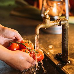 Verblijf 280805 - Tenthuis Rivierengebied - Tenthuisje met warme privédouche naast de tent met Hottub