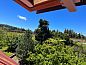 Guest house 2813202 • Holiday property Madeira • Bio Quinta do Pantano, Agro Turismo  • 14 of 26