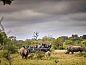 Verblijf 3026803 • Vakantiewoning Mpumalanga (Kruger Park) • Motswari Private Game Reserve  • 1 van 26