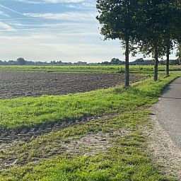 Verblijf 374701 - Vakantiewoning Midden Limburg - Huisje in Kelpen-Oler