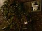 Guest house 392208 • Holiday property Zuid Limburg • Huisje in Banholt  • 9 of 19