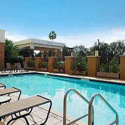 Unterkunft 5925403 - Appartement Florida - Embassy Suites Tampa - Brandon