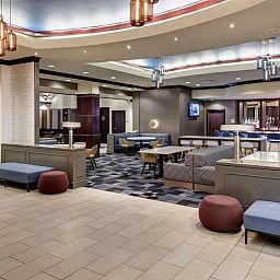 Unterkunft 5925403 - Appartement Florida - Embassy Suites Tampa - Brandon