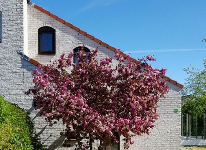 Guest house 01011038 • Holiday property Texel • Ferien-Perle 