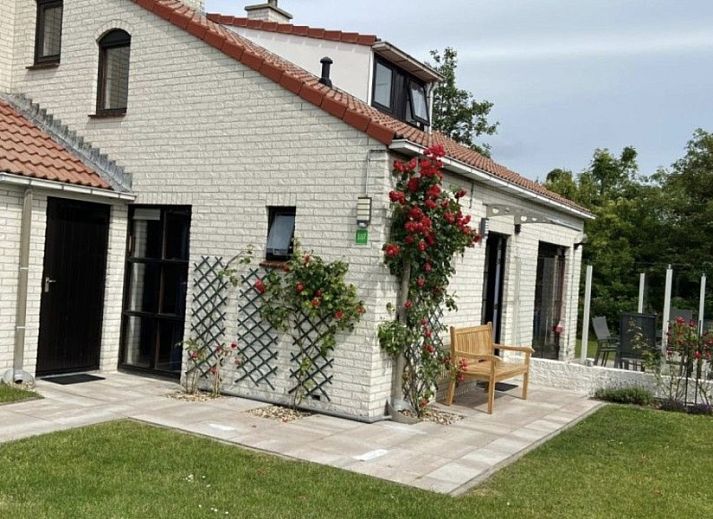 Ferienperle vakantiehuis met bloeiende boom in De Cocksdorp, Texel, Waddeneilanden.