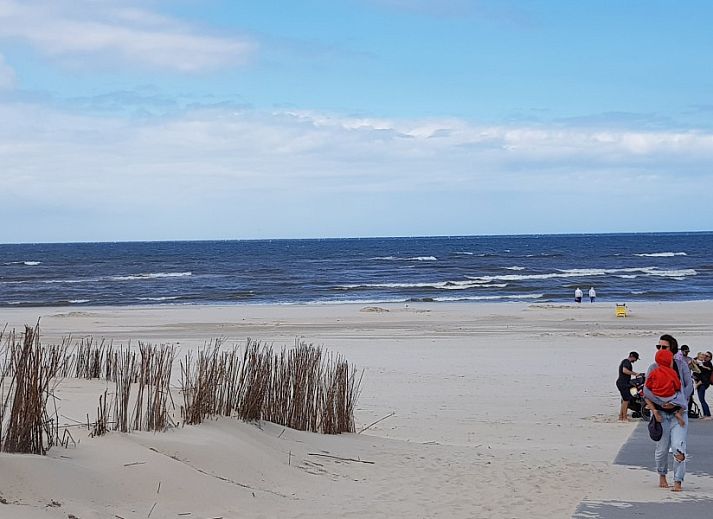 Houten tuinhuis bij Ferienperle vakantiehuis in De Cocksdorp, Texel, Waddeneilanden.