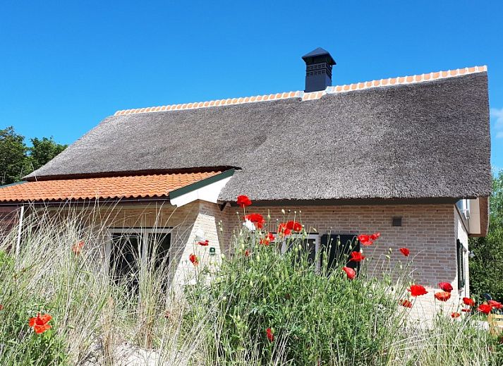 Unterkunft 01022547 - Ferienhaus Texel - Duinrand Vakantievilla's Type 2