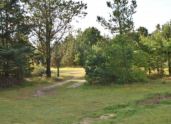 Kalmar hus vakantiehuis in Stauning, Denemarken met charmant terras en groene omgeving.