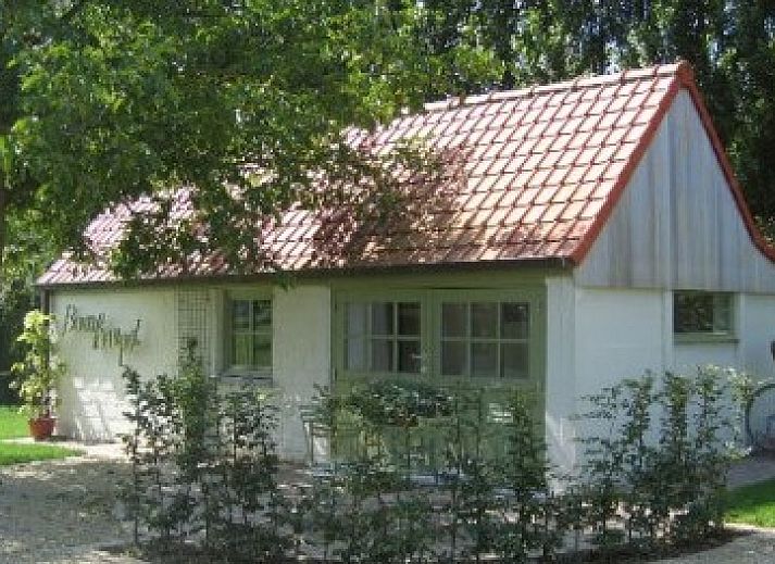 Guest house 022402 • Bed and Breakfast East Flanders • BOMLOZE PUT 