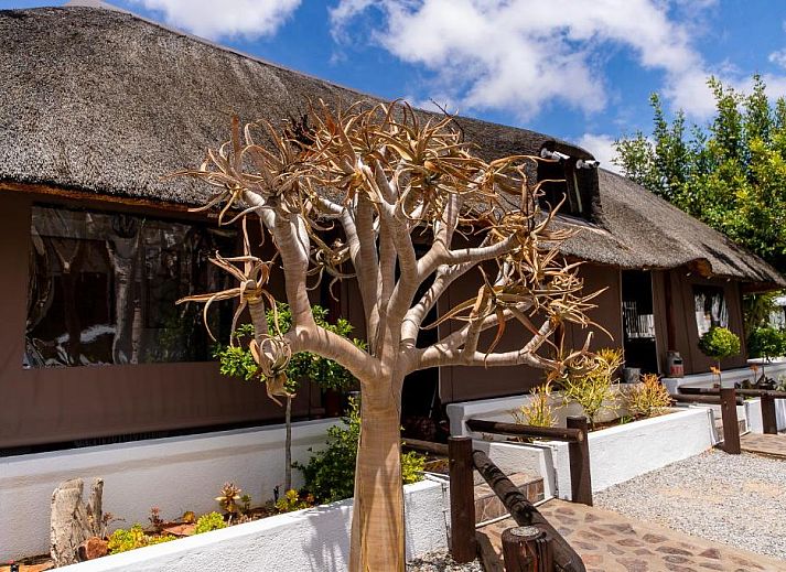 Guest house 0227004 • Holiday property Noord-Kaap • Kleinplasie Guesthouse