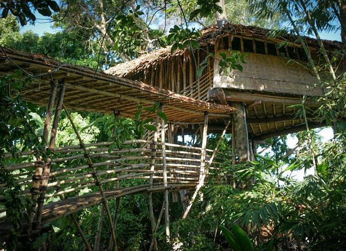 Unterkunft 0229702 • Ferienhaus Borneo • Bukit Raya Guesthouse 