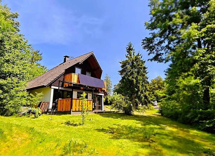 Ferienhaus Laange in Frankenau, Hessen, een charmant vakantiehuis omgeven door groene natuur en een ruim terras.