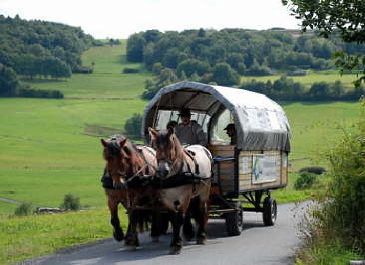 Unterkunft 0280103 - Ferienhaus Sauerland - Am Sternberg Frankenau