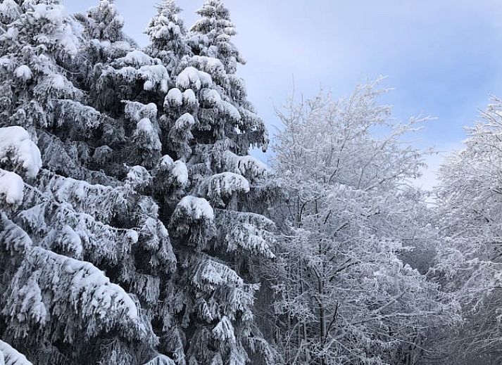 Verblijf 02810617 - Vakantiewoning Sauerland (Winterberg) - Vakantiehuis in Küstelberg