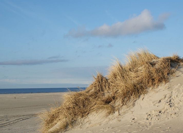 Guest house 030373 - Chalet Terschelling - De Branding