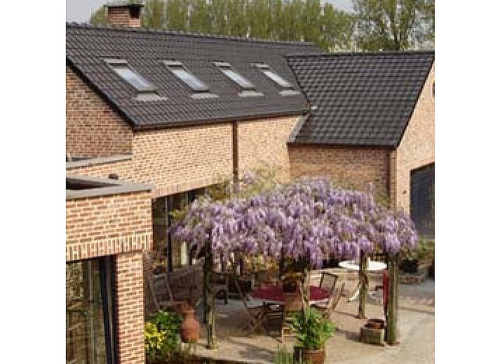 Guest house 030701 • Bed and Breakfast Flemish Brabant • Gastenverblijf Wisteria