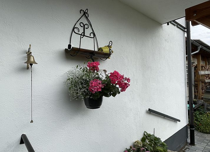 Guest house 03123701 - Apartment Black Forest - Appartement Spatzenparadies