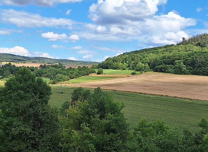 Vakantiehuis Seega in Kyffhauserland, Thringen biedt een rustieke buitenruimte met groene omgeving en ruim terras.
