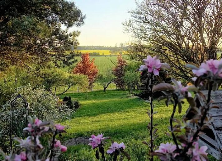 Vakantiehuis in Leinefelde-Worbis, Thuringen met prachtige tuin en groene omgeving.