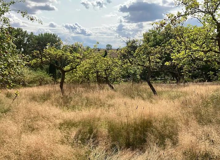 Geniet van het prachtige uitzicht op de natuur vanuit Vakantiehuis in Leinefelde-Worbis, gelegen in het groene Thuringen, Duitsland.